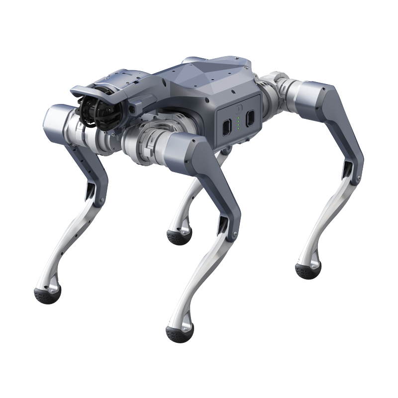 A grey Unitree Go2 quadruped robot with four articulated legs.